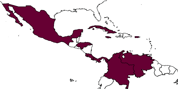 map of Aphelopus jamaicanus     Olmi, 1984